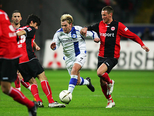 羽整体在总 羽整体在总